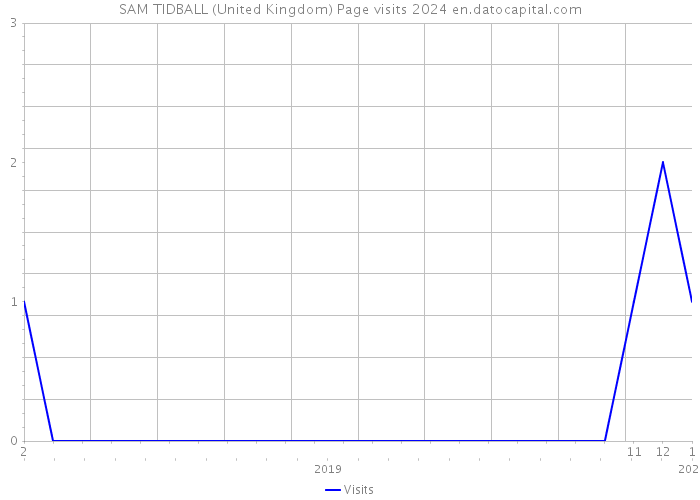 SAM TIDBALL (United Kingdom) Page visits 2024 