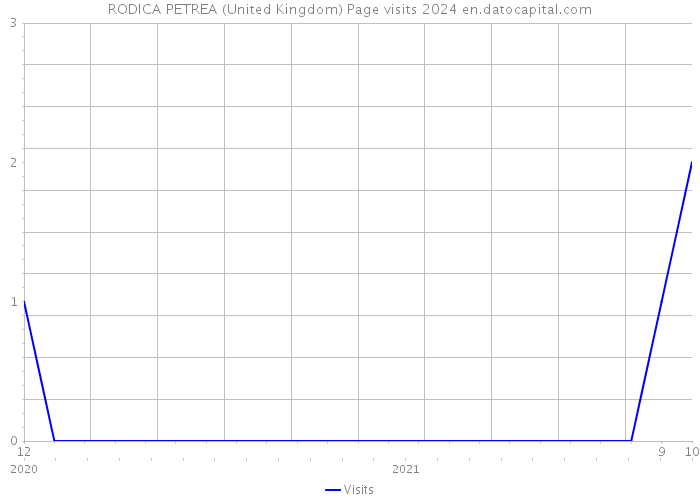 RODICA PETREA (United Kingdom) Page visits 2024 