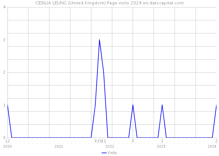CESILIA LEUNG (United Kingdom) Page visits 2024 