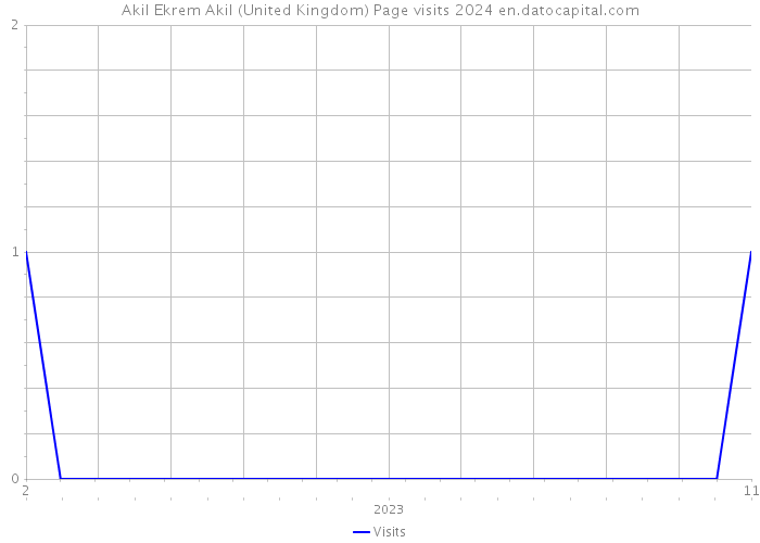 Akil Ekrem Akil (United Kingdom) Page visits 2024 
