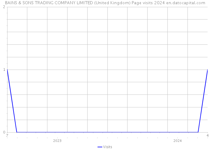 BAINS & SONS TRADING COMPANY LIMITED (United Kingdom) Page visits 2024 