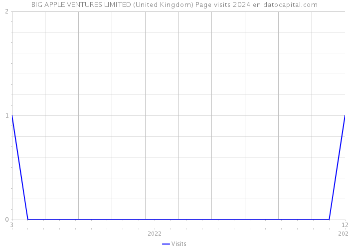 BIG APPLE VENTURES LIMITED (United Kingdom) Page visits 2024 