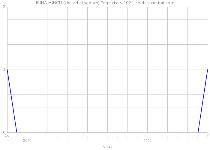 IRINA MINCU (United Kingdom) Page visits 2024 