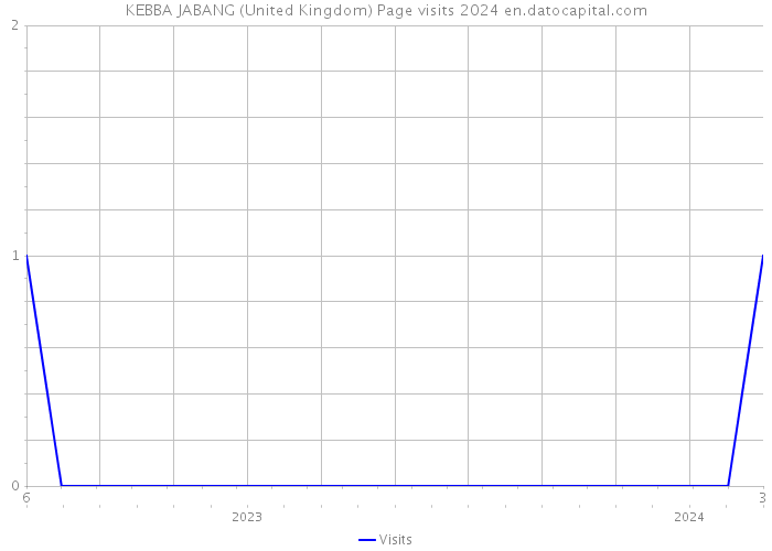 KEBBA JABANG (United Kingdom) Page visits 2024 