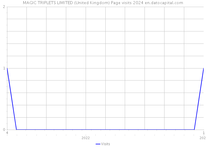 MAGIC TRIPLETS LIMITED (United Kingdom) Page visits 2024 