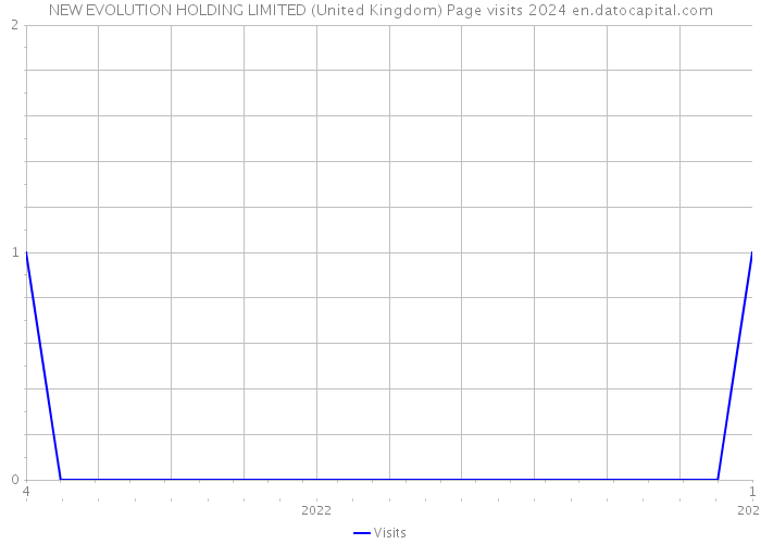 NEW EVOLUTION HOLDING LIMITED (United Kingdom) Page visits 2024 