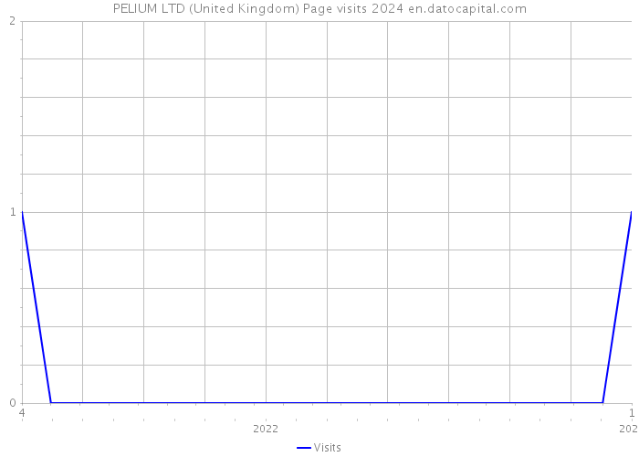 PELIUM LTD (United Kingdom) Page visits 2024 