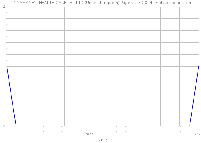 PINNAMANENI HEALTH CARE PVT LTD (United Kingdom) Page visits 2024 