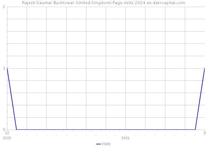 Rajesh Kaumar Bucktowar (United Kingdom) Page visits 2024 