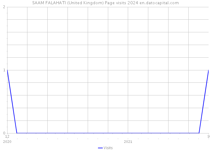 SAAM FALAHATI (United Kingdom) Page visits 2024 