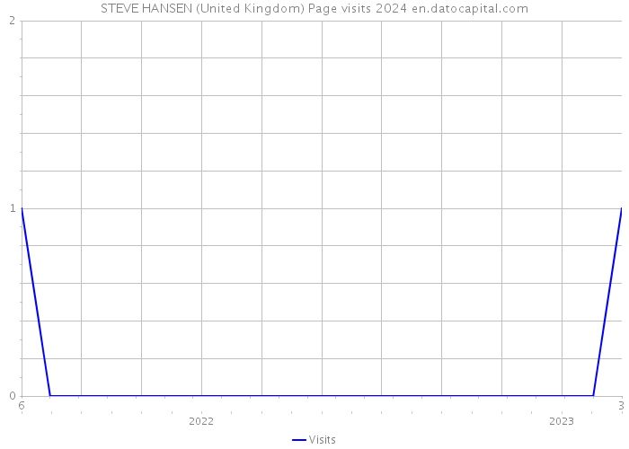 STEVE HANSEN (United Kingdom) Page visits 2024 