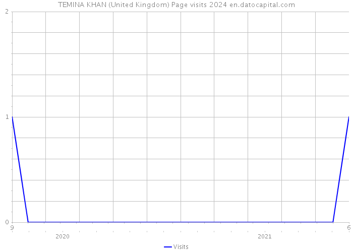 TEMINA KHAN (United Kingdom) Page visits 2024 