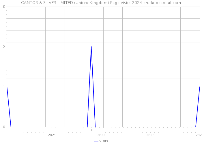 CANTOR & SILVER LIMITED (United Kingdom) Page visits 2024 