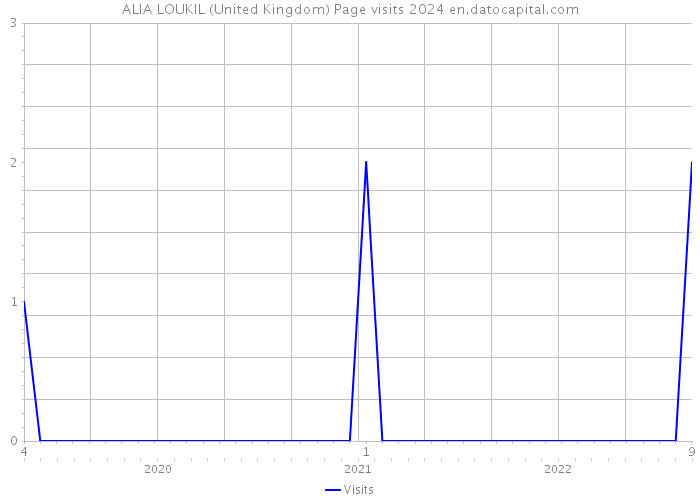ALIA LOUKIL (United Kingdom) Page visits 2024 