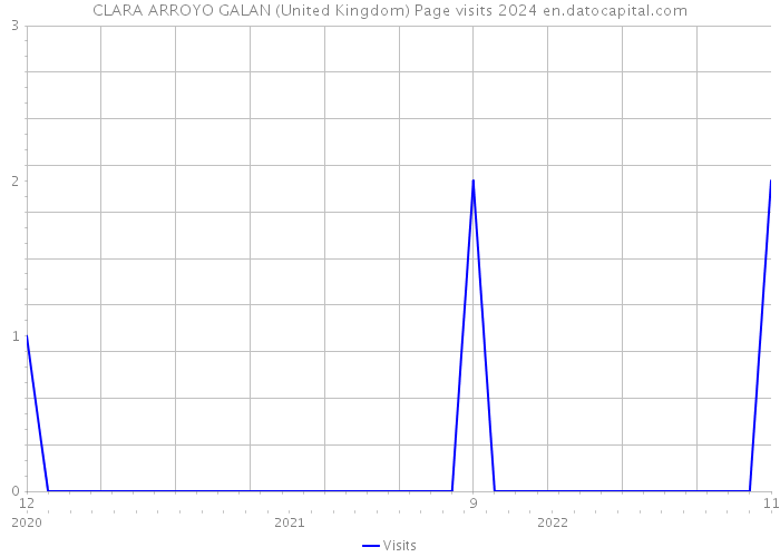 CLARA ARROYO GALAN (United Kingdom) Page visits 2024 