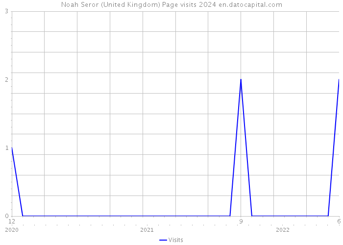 Noah Seror (United Kingdom) Page visits 2024 