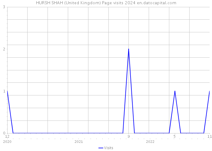 HURSH SHAH (United Kingdom) Page visits 2024 
