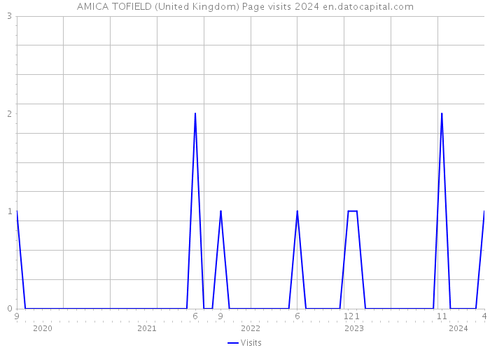 AMICA TOFIELD (United Kingdom) Page visits 2024 