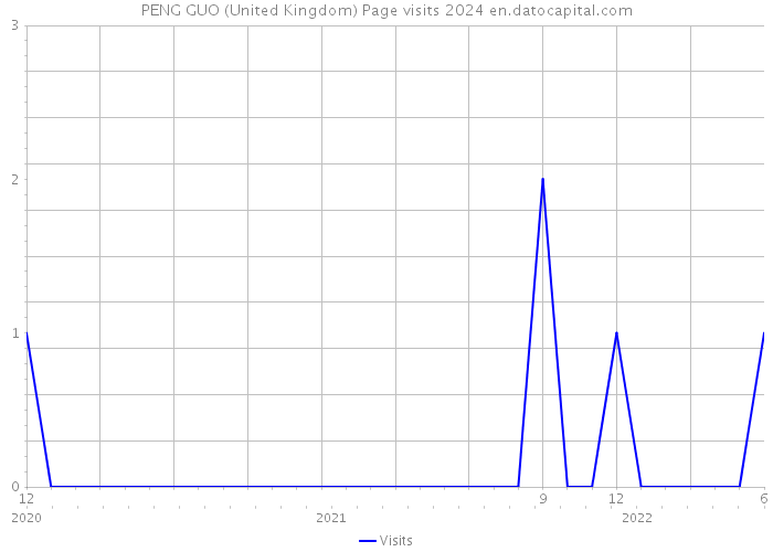 PENG GUO (United Kingdom) Page visits 2024 