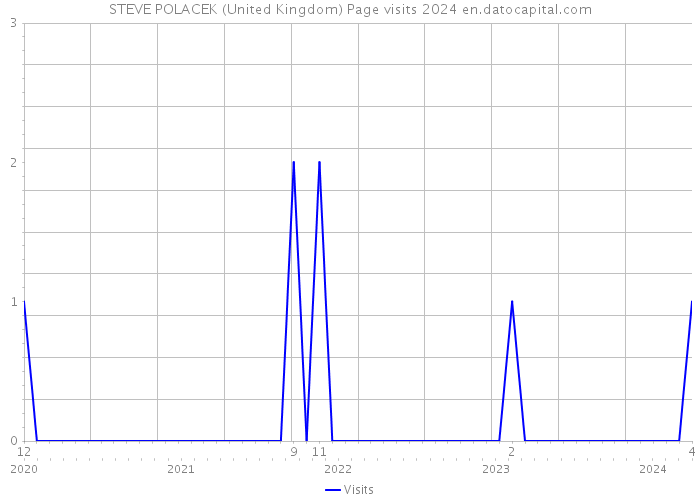 STEVE POLACEK (United Kingdom) Page visits 2024 