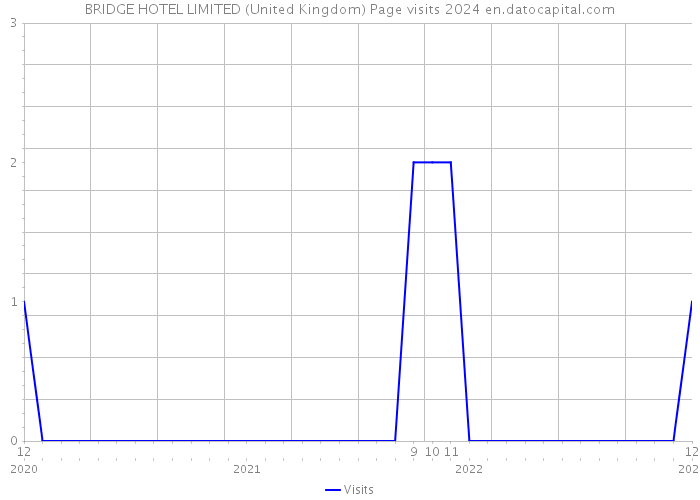 BRIDGE HOTEL LIMITED (United Kingdom) Page visits 2024 