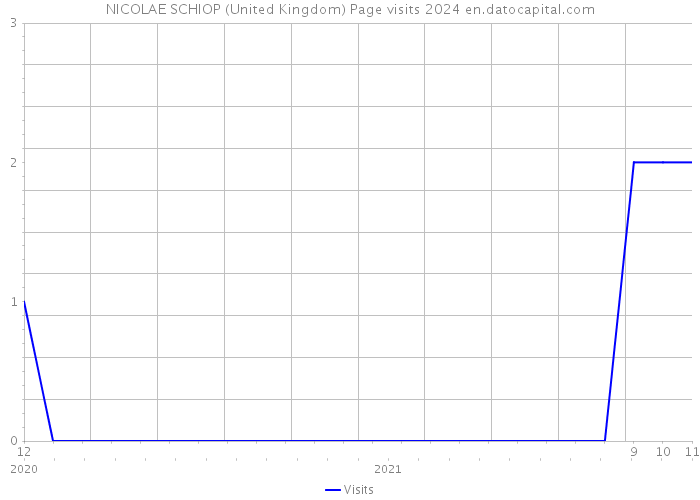 NICOLAE SCHIOP (United Kingdom) Page visits 2024 