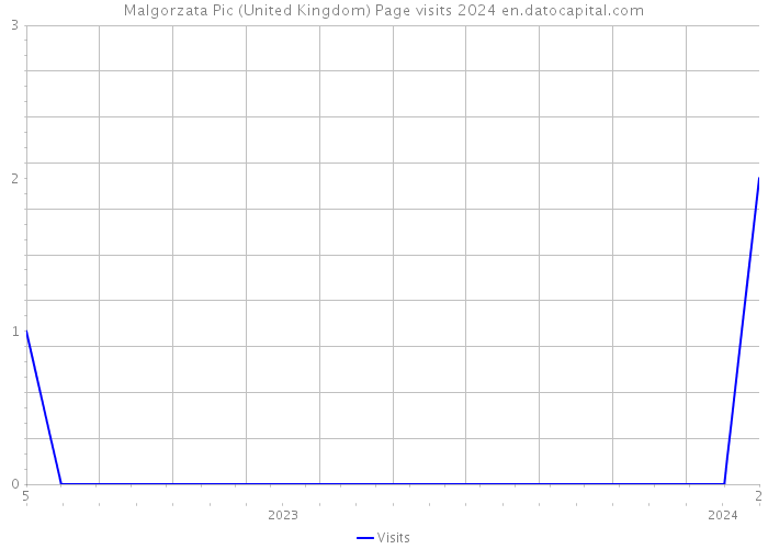 Malgorzata Pic (United Kingdom) Page visits 2024 