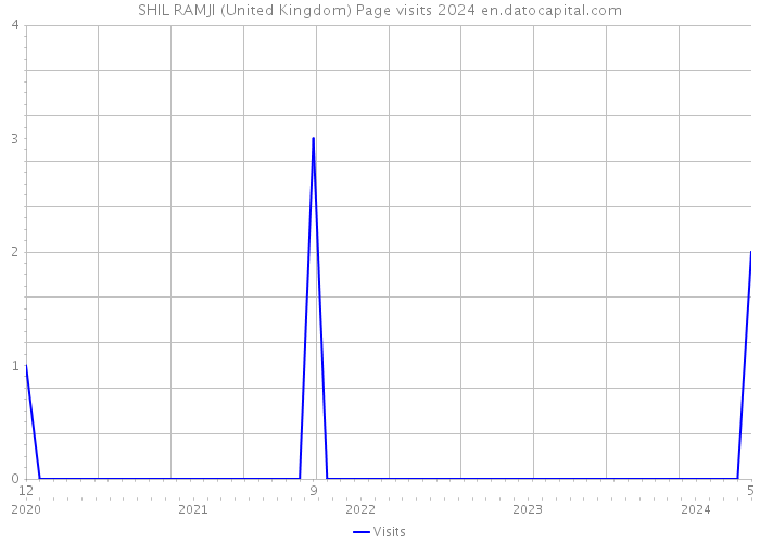 SHIL RAMJI (United Kingdom) Page visits 2024 