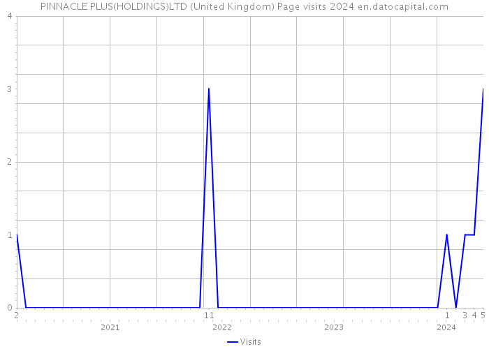 PINNACLE PLUS(HOLDINGS)LTD (United Kingdom) Page visits 2024 