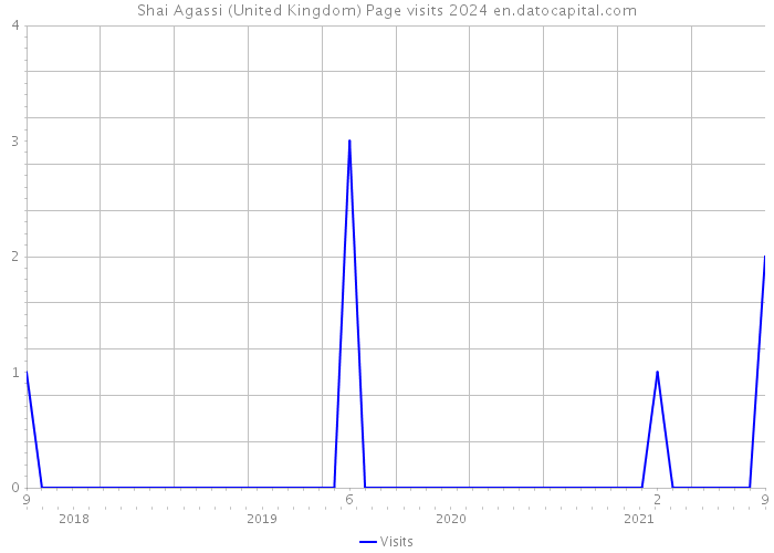 Shai Agassi (United Kingdom) Page visits 2024 