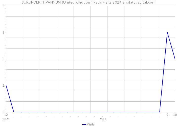SURUNDERJIT PANNUM (United Kingdom) Page visits 2024 