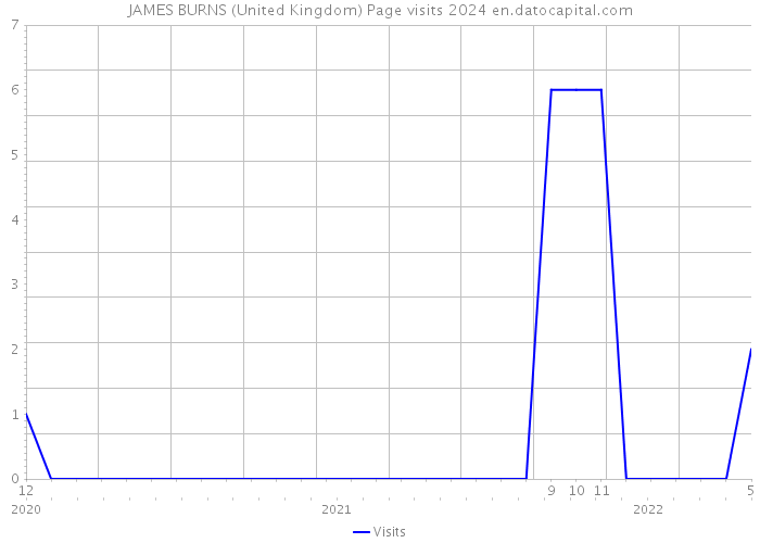 JAMES BURNS (United Kingdom) Page visits 2024 
