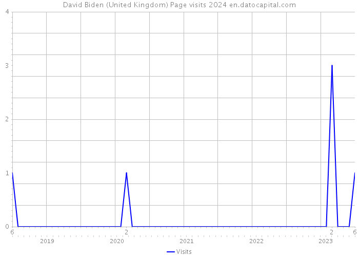 David Biden (United Kingdom) Page visits 2024 