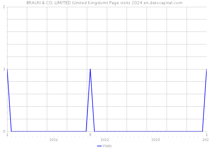 BRAUN & CO. LIMITED (United Kingdom) Page visits 2024 