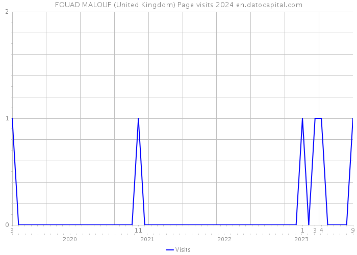 FOUAD MALOUF (United Kingdom) Page visits 2024 