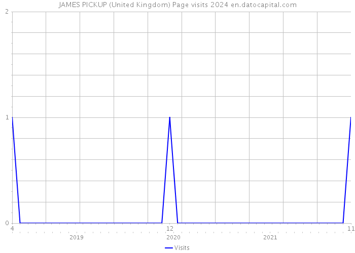 JAMES PICKUP (United Kingdom) Page visits 2024 
