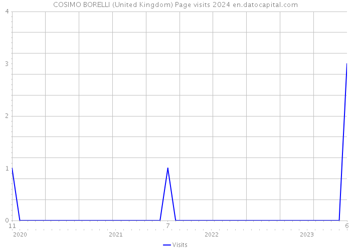 COSIMO BORELLI (United Kingdom) Page visits 2024 