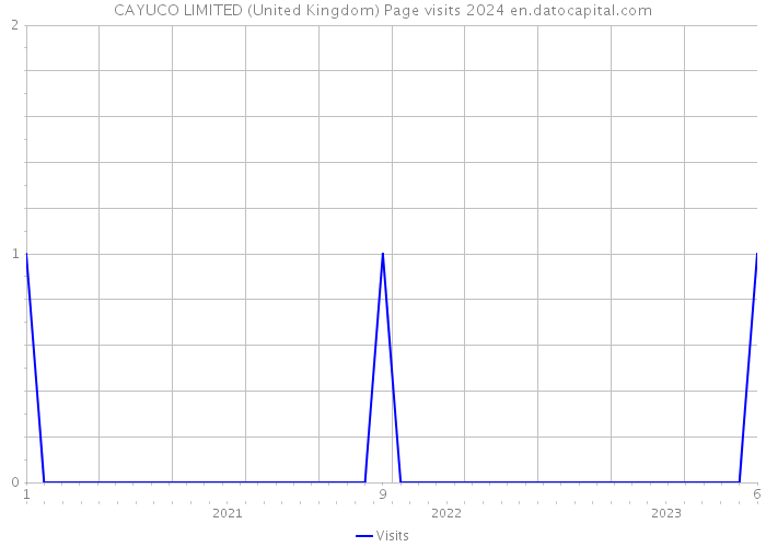 CAYUCO LIMITED (United Kingdom) Page visits 2024 