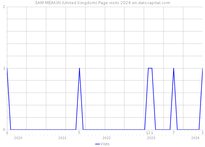 SAM MEAKIN (United Kingdom) Page visits 2024 