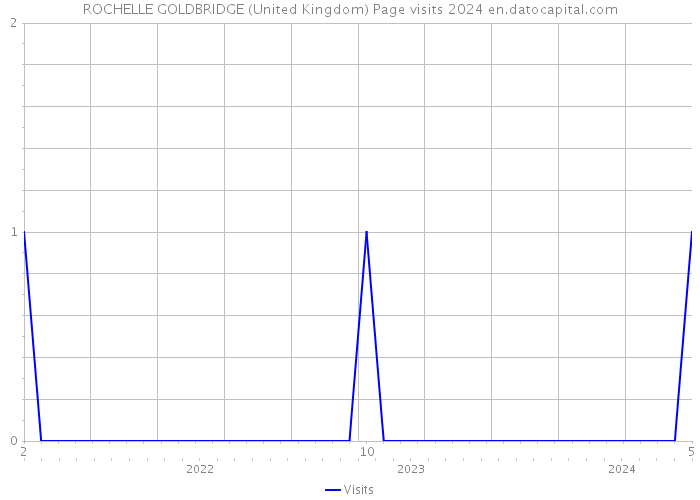 ROCHELLE GOLDBRIDGE (United Kingdom) Page visits 2024 