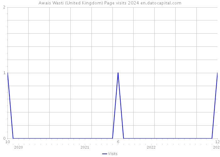 Awais Wasti (United Kingdom) Page visits 2024 