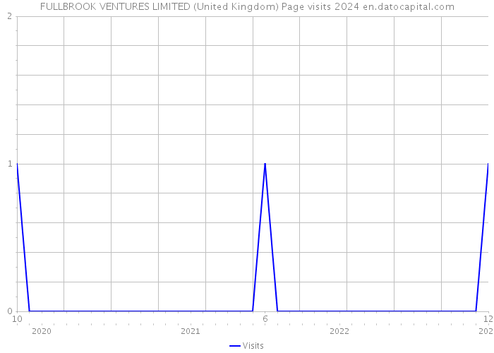FULLBROOK VENTURES LIMITED (United Kingdom) Page visits 2024 