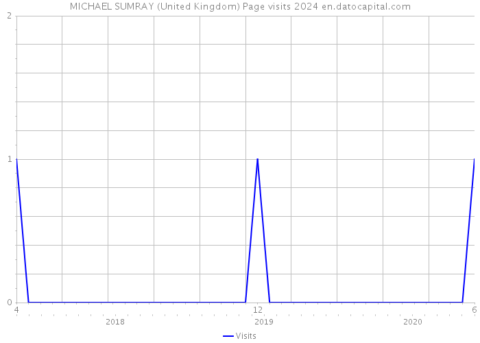 MICHAEL SUMRAY (United Kingdom) Page visits 2024 