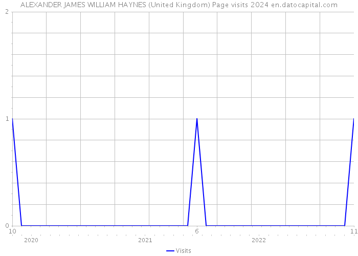 ALEXANDER JAMES WILLIAM HAYNES (United Kingdom) Page visits 2024 