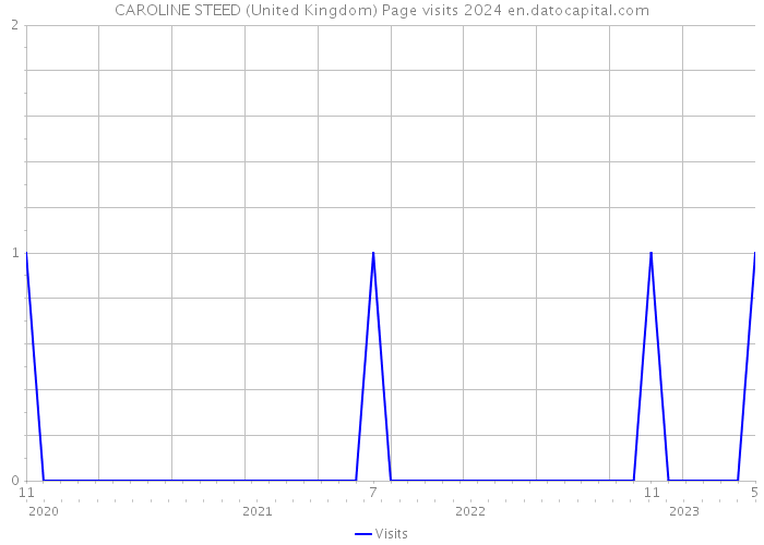 CAROLINE STEED (United Kingdom) Page visits 2024 