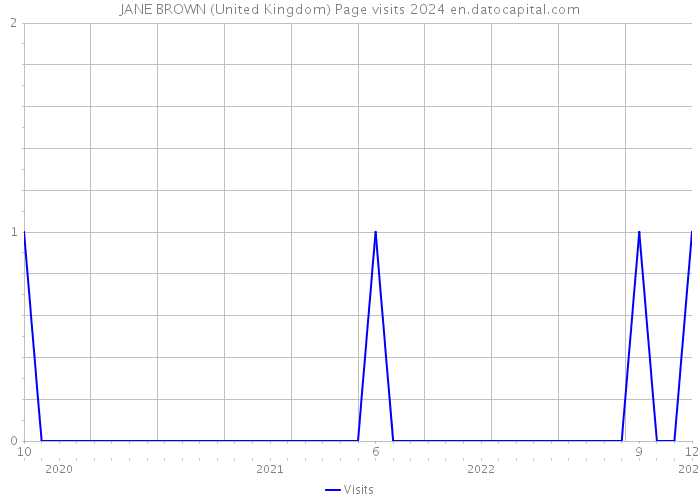 JANE BROWN (United Kingdom) Page visits 2024 