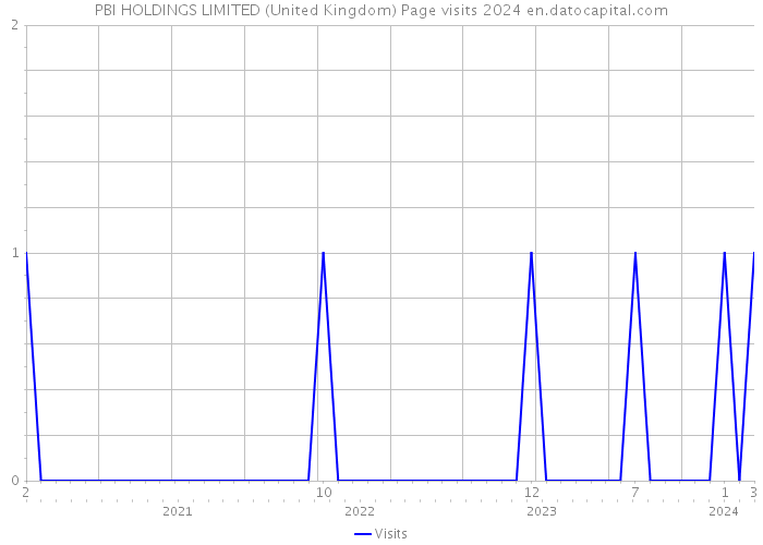 PBI HOLDINGS LIMITED (United Kingdom) Page visits 2024 