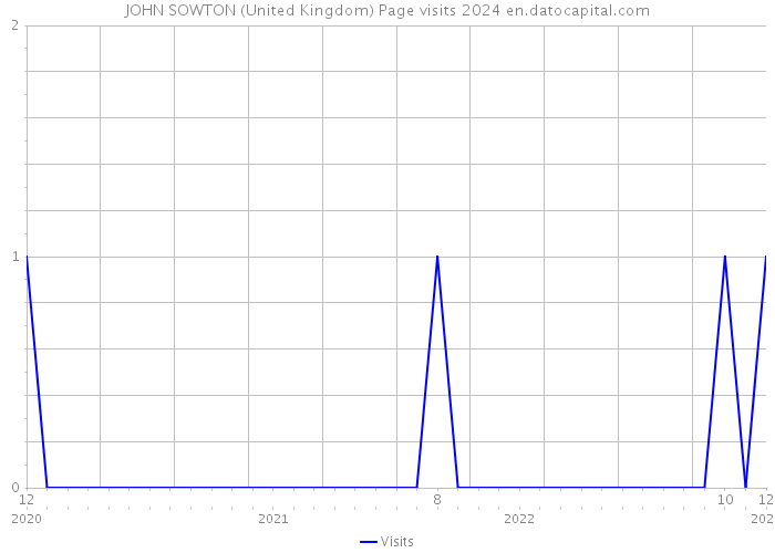 JOHN SOWTON (United Kingdom) Page visits 2024 