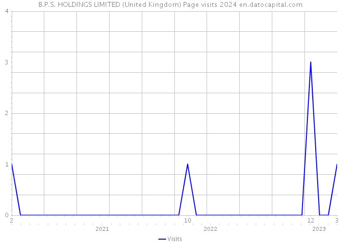 B.P.S. HOLDINGS LIMITED (United Kingdom) Page visits 2024 