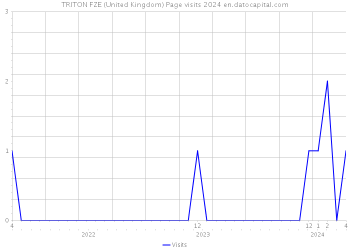 TRITON FZE (United Kingdom) Page visits 2024 